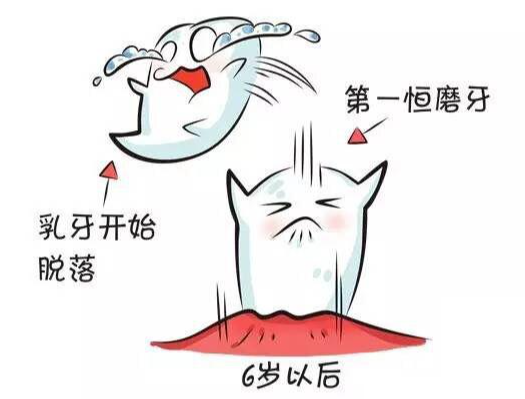 珠海補牙價目表