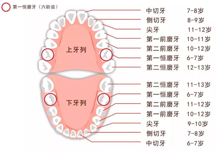 珠海箍牙